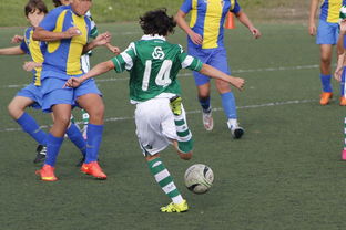 爱游戏体育-中国足球高密度传控战术回合成功统计，中国足球高密度传控战术回合成功统计