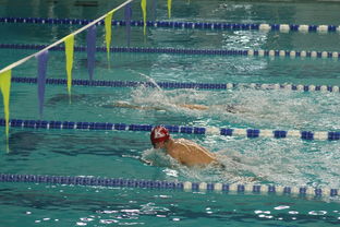 爱游戏体育在线-国际游泳精英赛中国队多人破纪录，国际游泳冠军系列赛